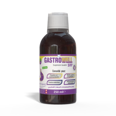 GASTROWELL SIROP 250ML FLACON