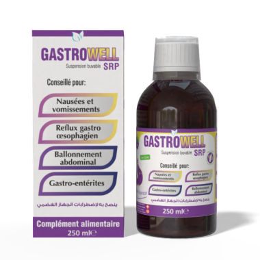GASTROWELL SIROP 250ML