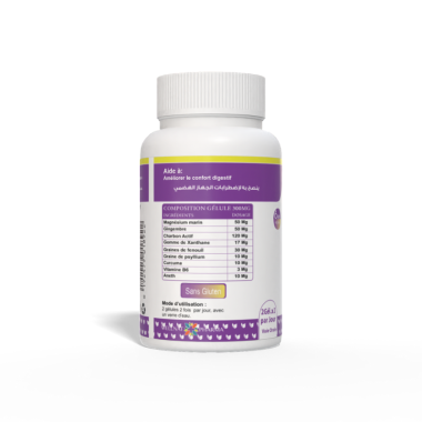 GASTROWELL 30 CAPS VUE DE DROITE